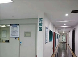 云南DNA亲子鉴定费用多少钱，云南亲子鉴定具体的流程