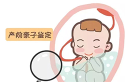 云南胎儿亲子鉴定机构去哪查找